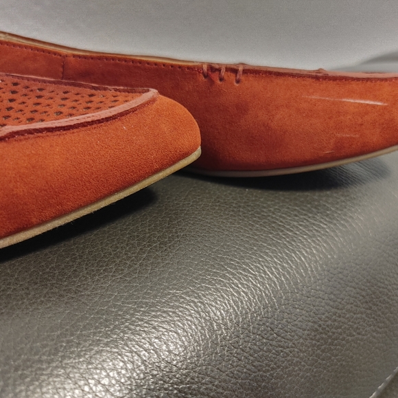 Torrid Flats - Picture 14 of 15